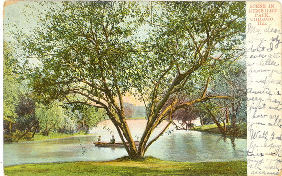 Scene in Humboldt Park, Chicago, IL - Carey's Emporium