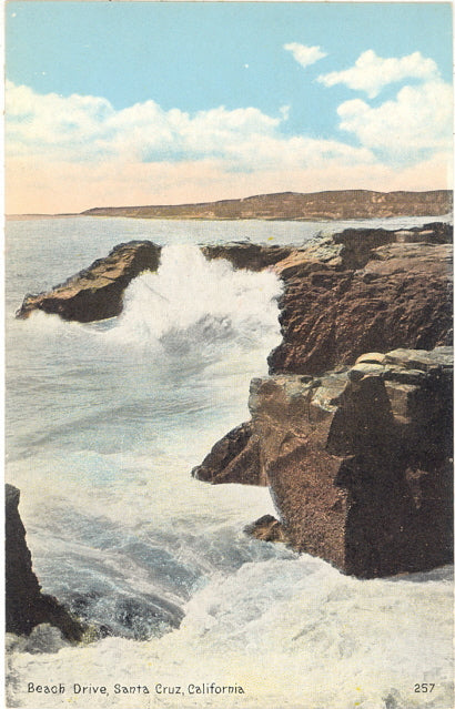 Beach Drive, Santa Cruz, CA - Carey's Emporium