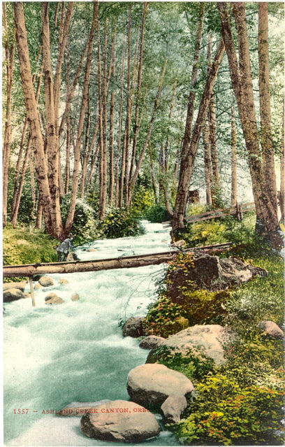Ashland Creek Canyon, Ashland, OR - Carey's Emporium