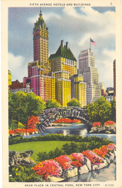Fifth Avenue Hotels and Buildings, Near Plaza in Central Park, New York City, NY - Carey's Emporium