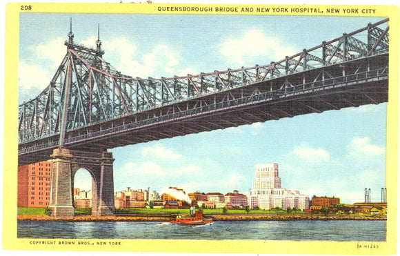 Queensborough Bridge and New York Hospital, New York City, NY - Carey's Emporium