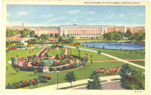 Rose Garden, in the Fenway, Boston, MA - Carey's Emporium