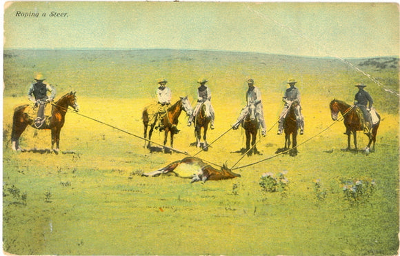 Roping a Steer - Carey's Emporium