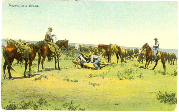 Inspecting a Brand - Carey's Emporium