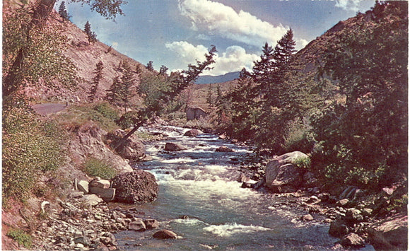 Gardner River, Yellowstone National Park - Carey's Emporium
