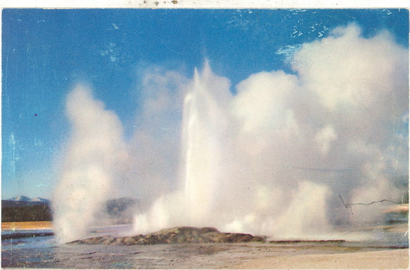 Clepsydra Geyser, Yellowstone National Park - Carey's Emporium