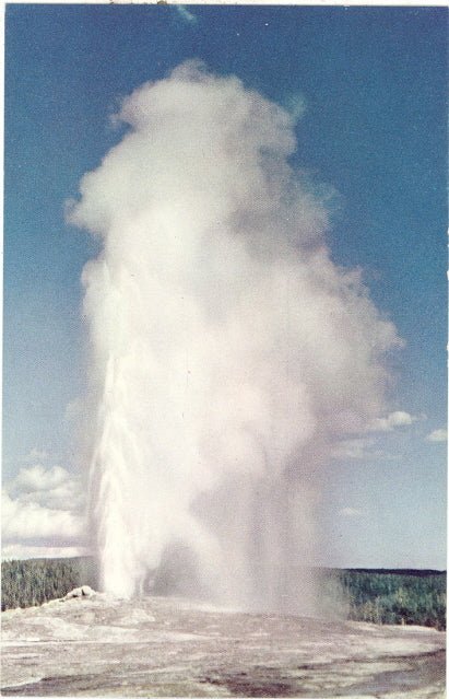 Old Faithful Geyser, Yellowstone National Park - Carey's Emporium