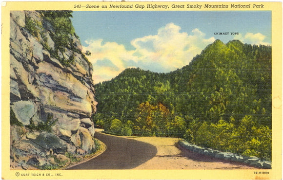 Scene on Newfound Gap Highway, Great Smoky Mountains National Park - Carey's Emporium
