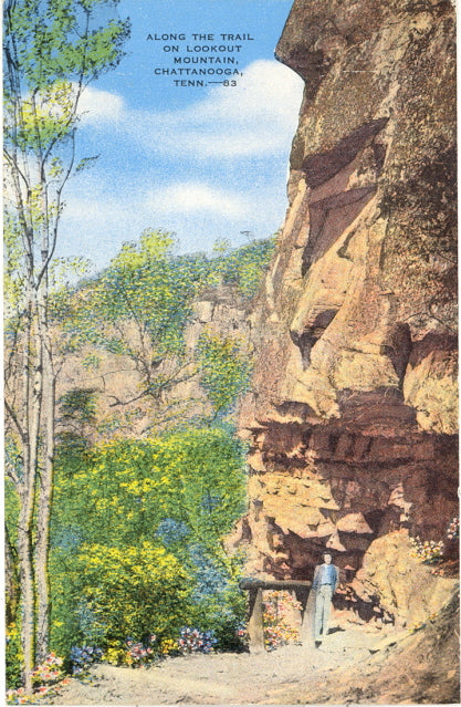 Along the Trail on Lookout Mountain, Chattanooga, TN - Carey's Emporium