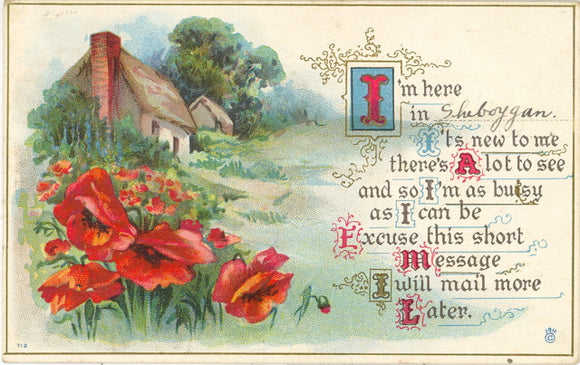 I'm Here in Sheboygan - Carey's Emporium