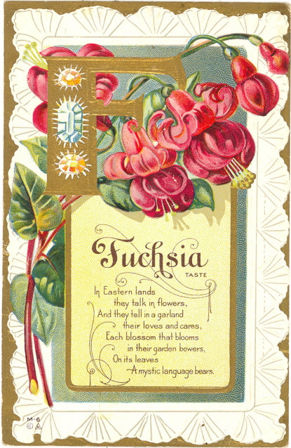 Fuchsia Taste - Carey's Emporium