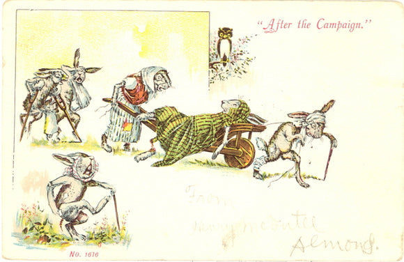 After the Campaign - Carey's Emporium