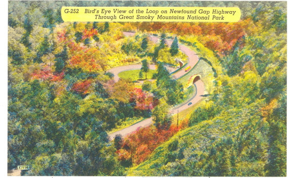 Birds Eye View of the Loop on Newfound Gap Highway Through Great Smoky Mountains National Park - Carey's Emporium