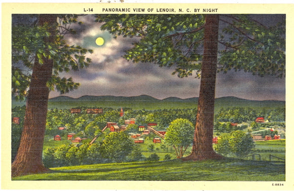 Panoramic View of Lenoir, NC  by Night - Carey's Emporium