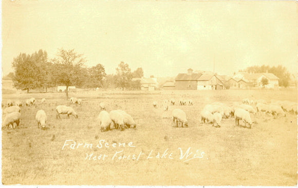 Farm Scene near Forest Lake, WI - Carey's Emporium