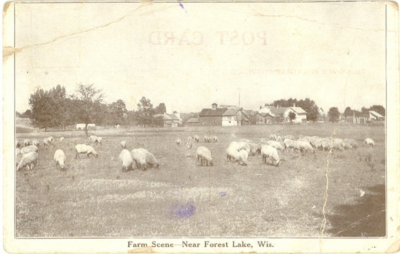 Farm Scene near Forest Lake, WI - Carey's Emporium