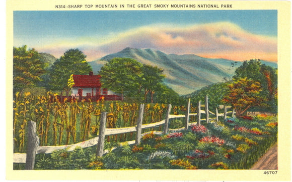 Sharp Top Mountain in the Great Smoky Mountains National Park - Carey's Emporium