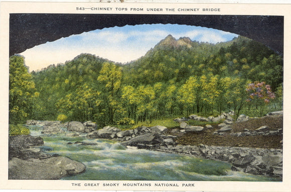 Chimney Tops from Under the Chimney Bridge, Great Smoky Mountains National Park - Carey's Emporium
