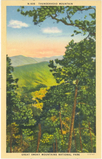 Thunderhead Mountain, Great Smoky Mountains National Park - Carey's Emporium