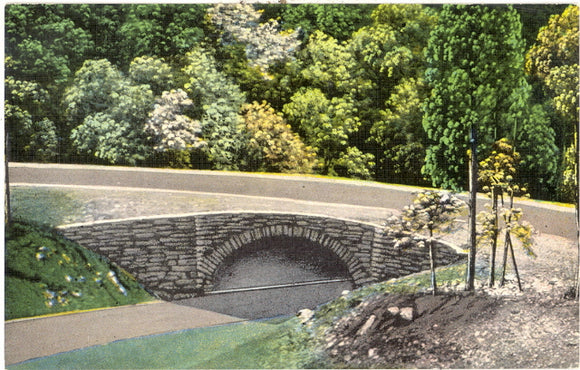 Loop-Over Bridge, Great Smoky Mountains National Park - Carey's Emporium