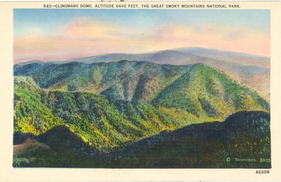 Clingmans Dome, Great Smoky Mountains National Park - Carey's Emporium