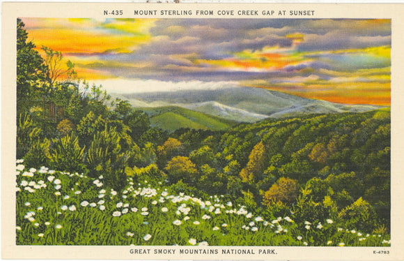 Mount Sterling from Cove Creek Gap, Great Smoky Mountains National Park - Carey's Emporium