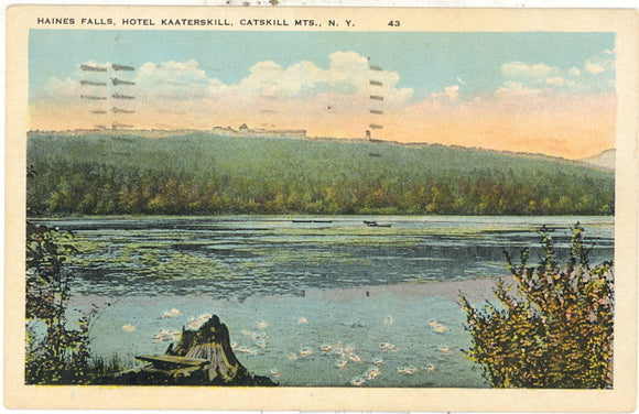 Haines Falls, Hotel Haaterskill, Catskill Mts., NY - Carey's Emporium