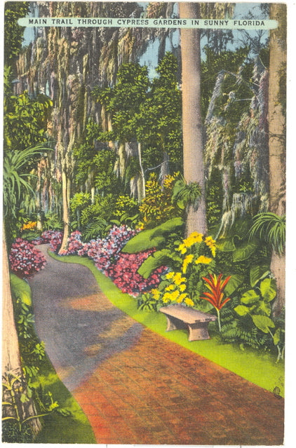 Main Trail Through Cypress Gardens, FL - Carey's Emporium
