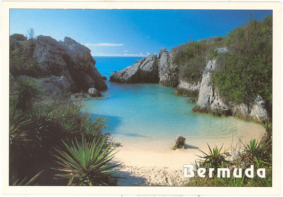 Jobsons Cove, Bermuda - Carey's Emporium