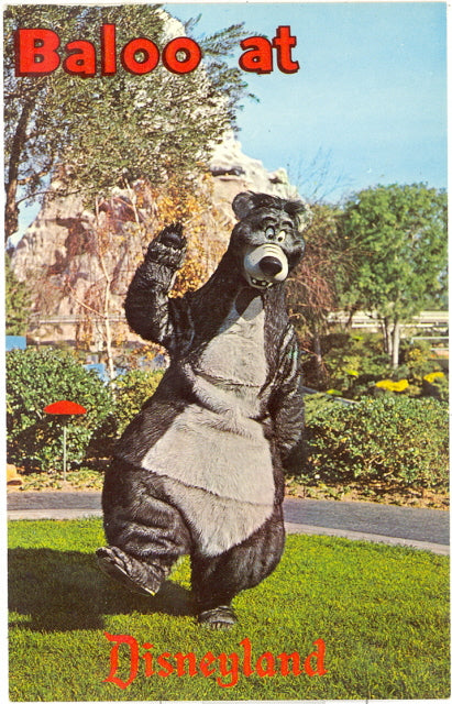Baloo at Disneyland - Carey's Emporium
