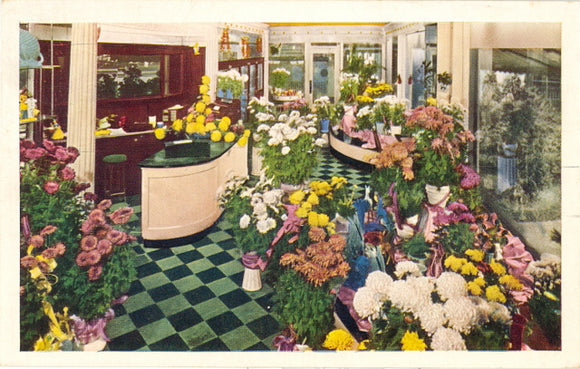 Edgewater Beach Hotel Flower Shop, Chicago, IL - Carey's Emporium