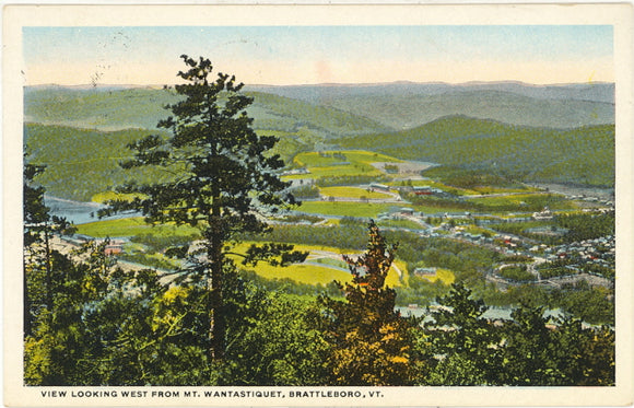 View Looking West from Mt. Wantastiquet, Brattleboro, VT - Carey's Emporium