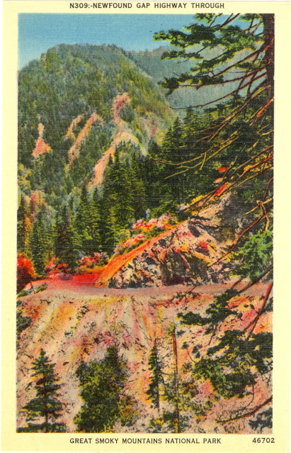 Newfound Gap Highway Through Great Smoky Mountains National Park - Carey's Emporium