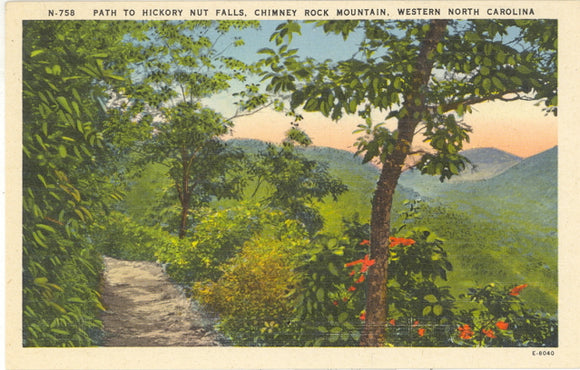 Path to Hickory Nut Falls, Chimney Rock Mountain, Western NC - Carey's Emporium