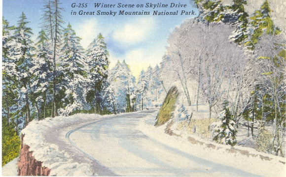Winter Scene on Skyline Drive in Great Smoky Mountains National Park - Carey's Emporium