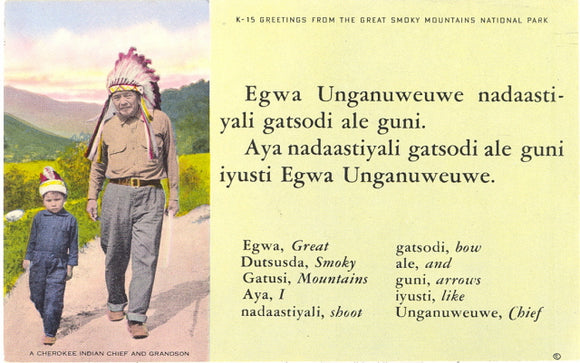 Greetings from the Great Smoky Mountains National Park - Carey's Emporium