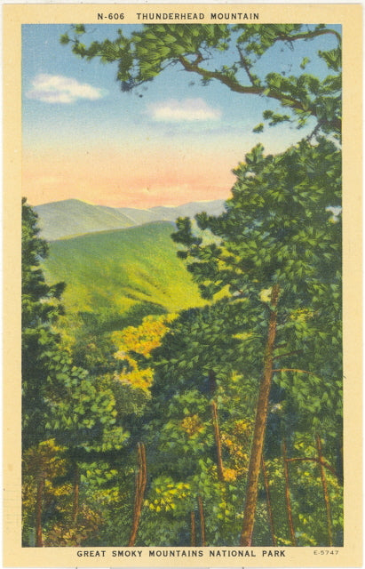 Thunderhead Mountain, Great Smoky Mountains National Park - Carey's Emporium