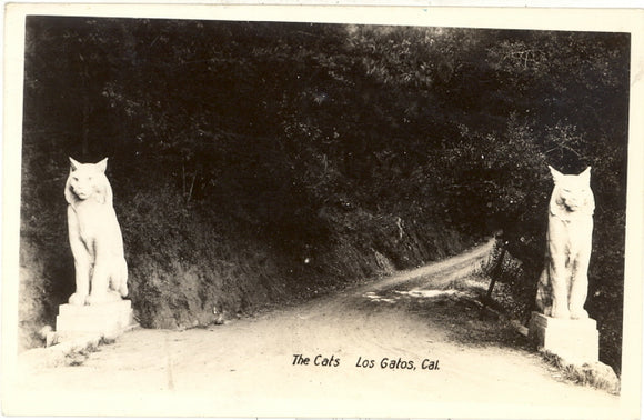 The Cats, Los Gatos, CA - Carey's Emporium