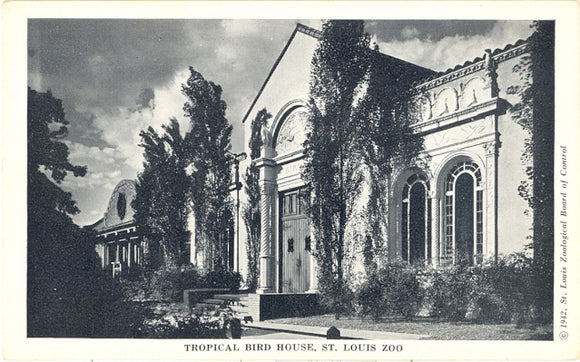 Tropical Bird House, St. Louis Zoo, St. Louis, MO - Carey's Emporium