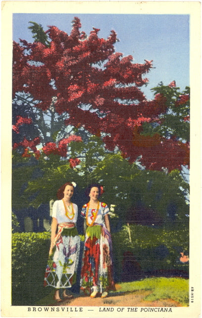 Land of the Poinciana, Brownsville, TX - Carey's Emporium