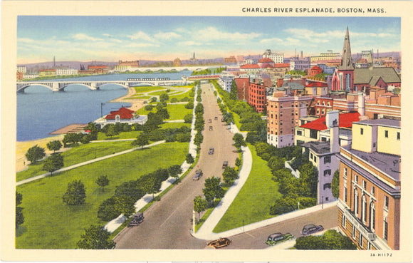 Charles River Esplanade, Boston, MA - Carey's Emporium