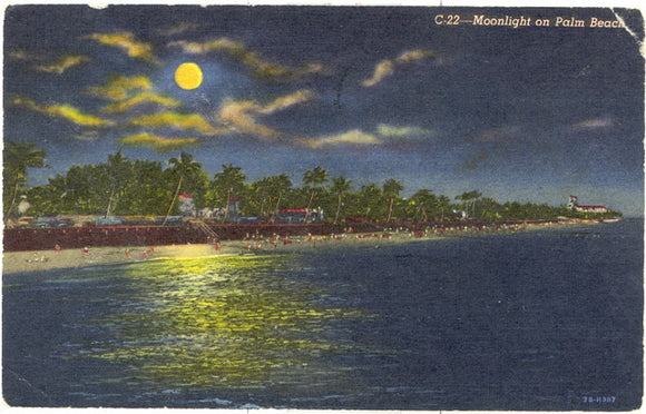 Moonlight on Palm Beach, FL - Carey's Emporium