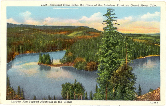 Beautiful Mesa Lake, the Home of the Rainbow Trout, on Grand Mesa, CO - Carey's Emporium