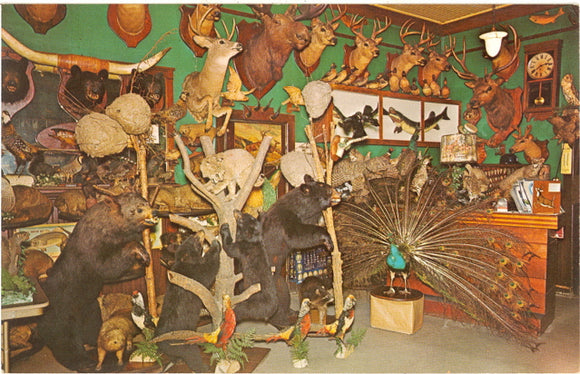 Kinzigers Hunters and Fishermens Tavern, Lena, WI - Carey's Emporium