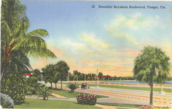 Beautiful Bayshore Boulevard, Tampa, FL - Carey's Emporium