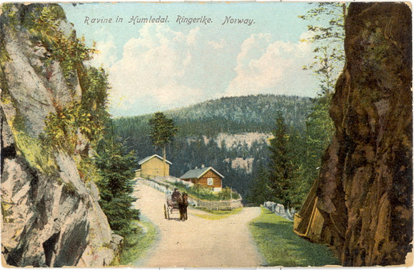 Ravine in Kumledal, Ringerike, Norway - Carey's Emporium