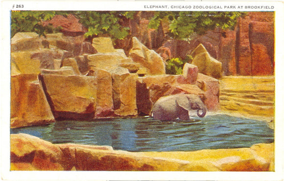 Elephant, Chicago Zoological Park at Brookfield, IL - Carey's Emporium