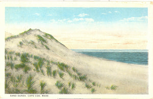 Sand Dunes, Cape Cod, MA - Carey's Emporium