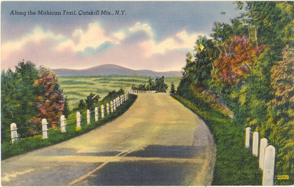 Along the Mohican Trail, Catskill Mts., NY - Carey's Emporium