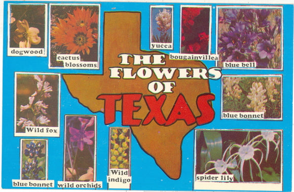 The Flowers of Texas - Carey's Emporium